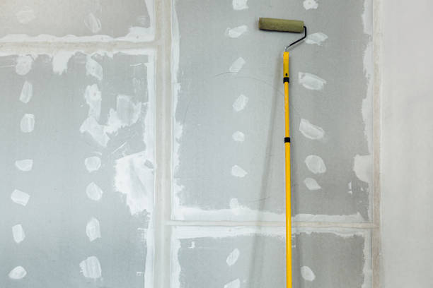 Blue Mound, IL Mold Removal Company