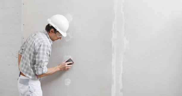 Best Commercial Mold Inspection  in Blue Mound, IL