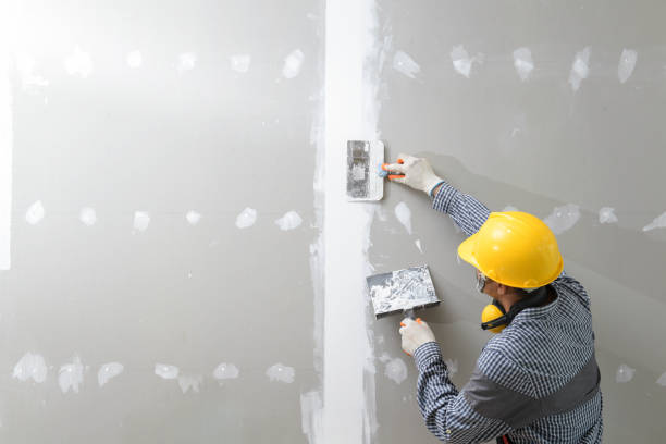 Best Asbestos and Lead Testing During Mold Inspection  in Blue Mound, IL