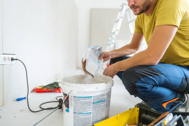 Best Mold Removal for HVAC Installations  in Blue Mound, IL