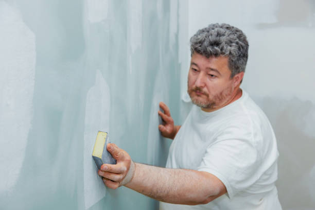 Best Mold Prevention Services  in Blue Mound, IL