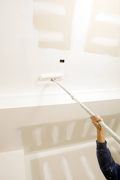 Best Mold Documentation for Insurance Claims  in Blue Mound, IL