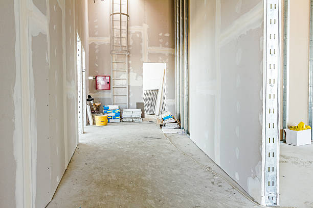Best Post-Construction Mold Inspection  in Blue Mound, IL